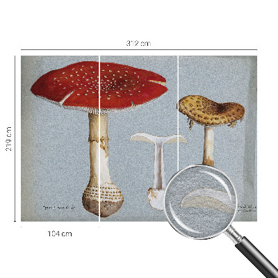Wall mural for bedroom with mushroom engravings