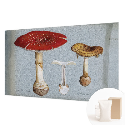 Wall mural for bedroom with mushroom engravings