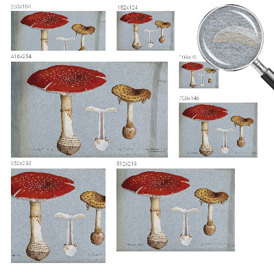 Wall mural for bedroom with mushroom engravings