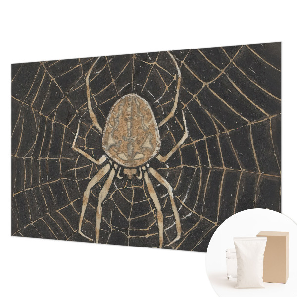 Photo wallpaper with a spider web design
