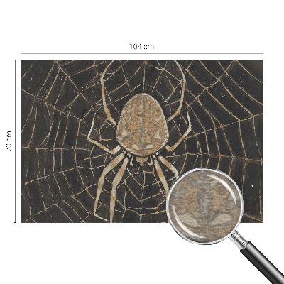 Photo wallpaper with a spider web design