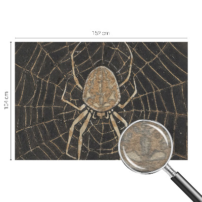 Photo wallpaper with a spider web design