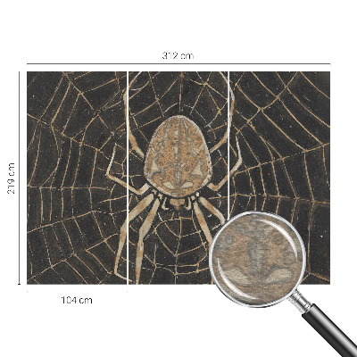 Photo wallpaper with a spider web design