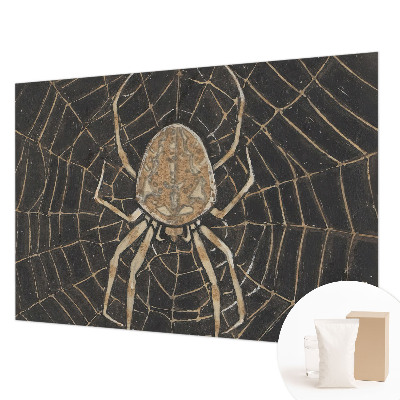 Photo wallpaper with a spider web design