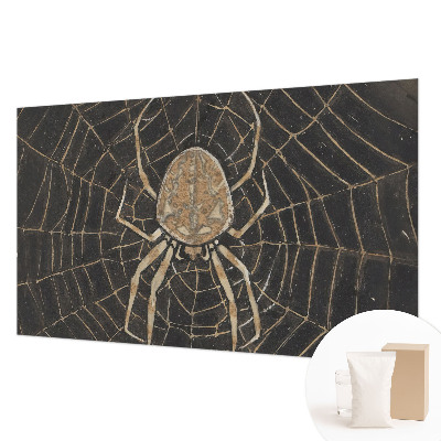 Photo wallpaper with a spider web design