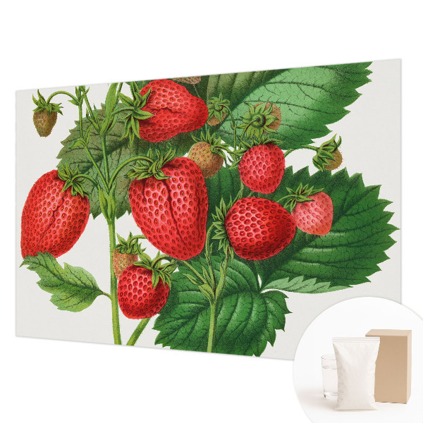 Wall mural for living room with a summer fruits motif