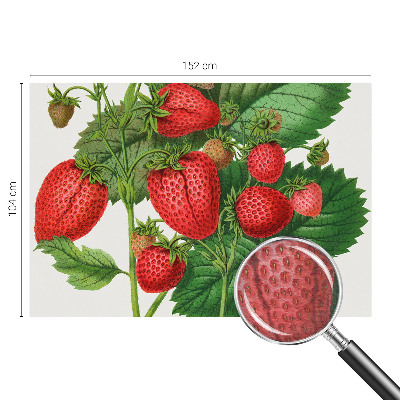 Wall mural for living room Summer fruits