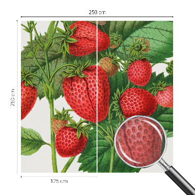 Wall mural for living room with a summer fruits motif