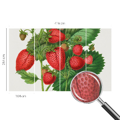 Wall mural for living room with a summer fruits motif