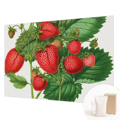 Wall mural for living room with a summer fruits motif