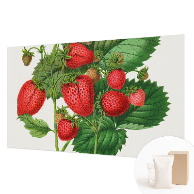 Wall mural for living room with a summer fruits motif