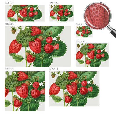 Wall mural for living room with a summer fruits motif