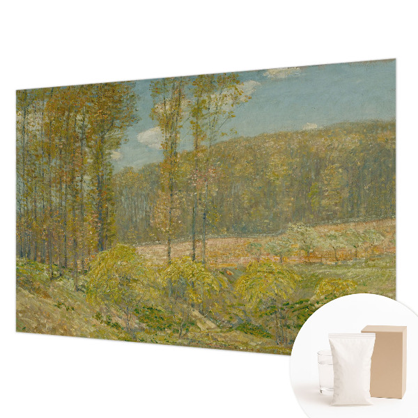 Custom size wall mural featuring a forest landscape