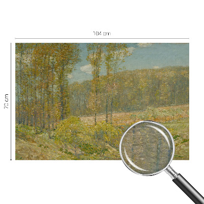 Custom size wall mural featuring a forest landscape