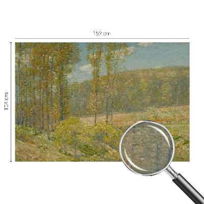 Custom size wall mural featuring a forest landscape