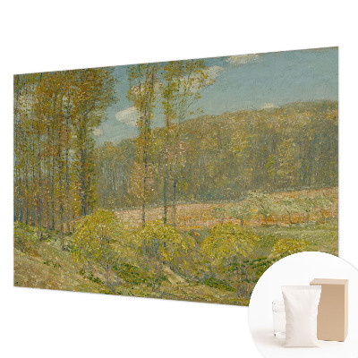 Custom size wall mural featuring a forest landscape