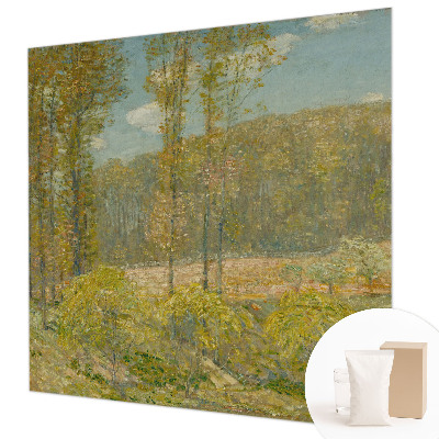 Custom size wall mural featuring a forest landscape