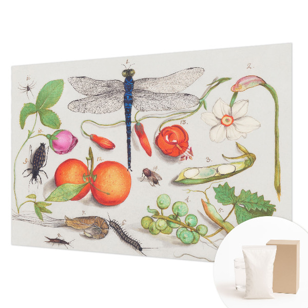 Wallpaper mural with a nature illustration