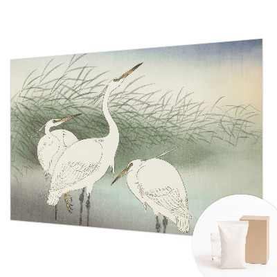 Wall mural for bedroom featuring herons in the grass