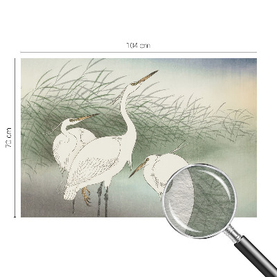 Wall mural for bedroom featuring herons in the grass