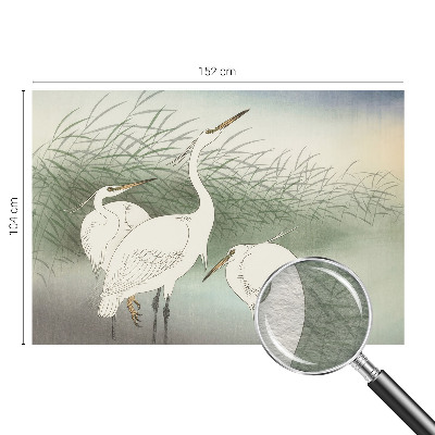 Wall mural for bedroom featuring herons in the grass