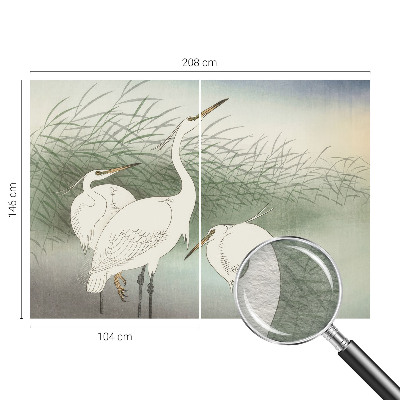 Wall mural for bedroom featuring herons in the grass
