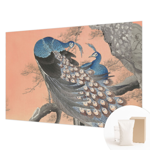Bedroom wall mural wallpaper with a peacock elegance design