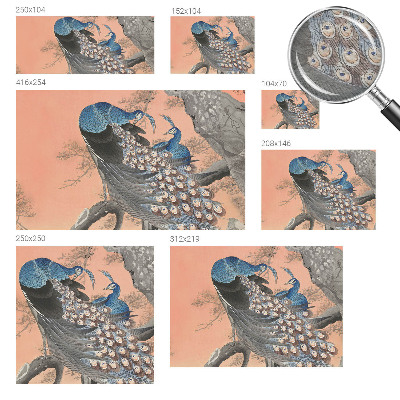 Bedroom wall mural wallpaper Peacock elegance