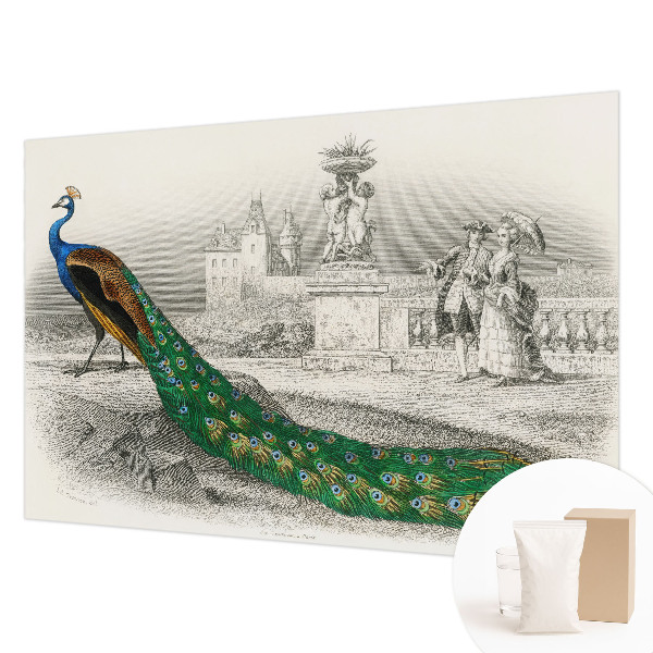 Large wall mural with a colorful feather pattern