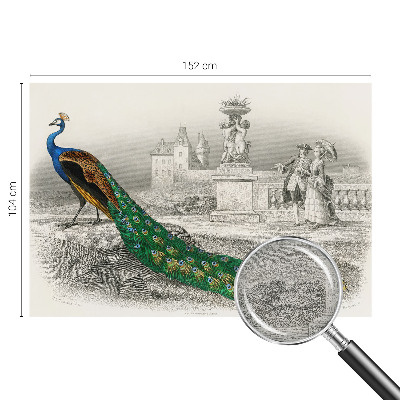 Large wall mural with a colorful feather pattern