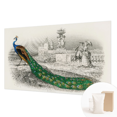 Large wall mural with a colorful feather pattern