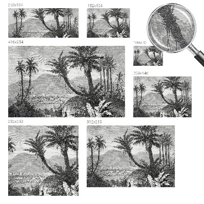 Custom size wall mural with a tropical oasis design
