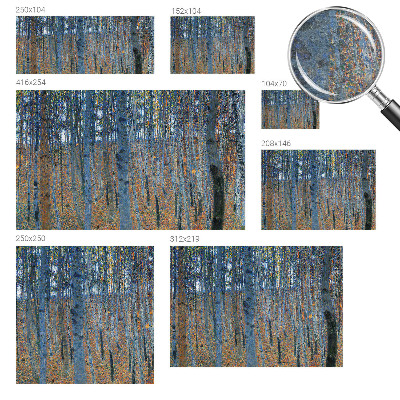 High quality photo wallpaper with a birch forest motif