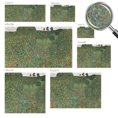 Decorative wall mural for living room Flower meadow