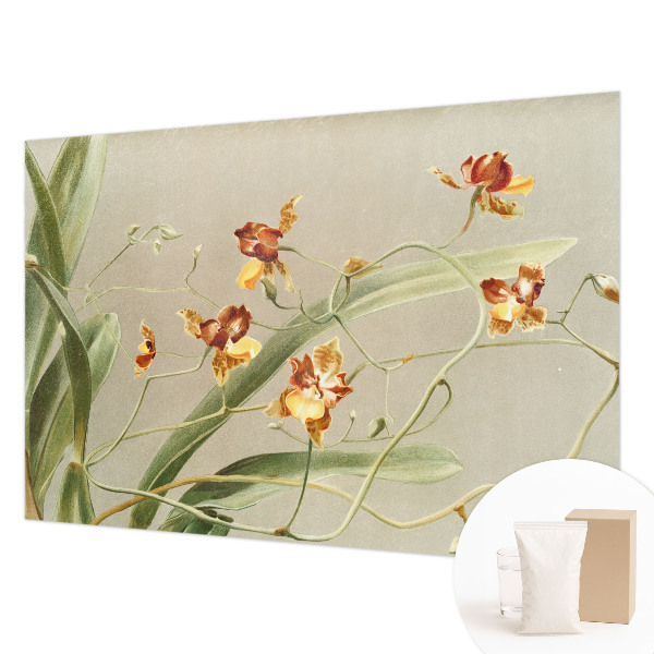 Wallpaper mural for living room featuring a classic orchids design