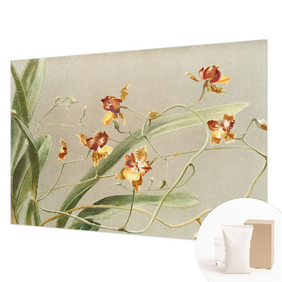 Wallpaper mural for living room featuring a classic orchids design