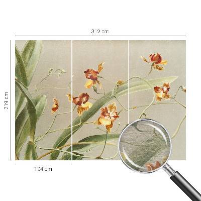 Wallpaper mural for living room featuring a classic orchids design