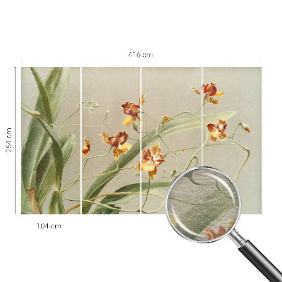 Wallpaper mural for living room featuring a classic orchids design