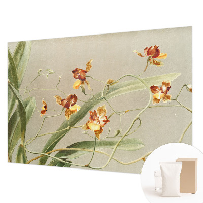 Wallpaper mural for living room featuring a classic orchids design