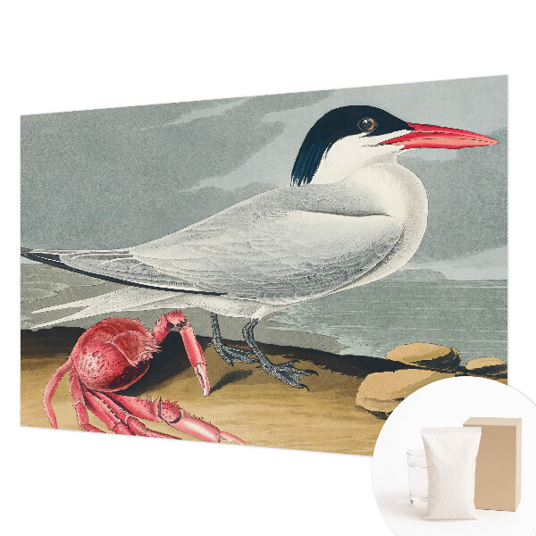 Non-woven wall mural featuring a sea scenery design