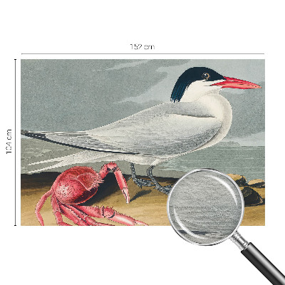 Non-woven wall mural featuring a sea scenery design