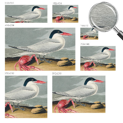 Non-woven wall mural featuring a sea scenery design
