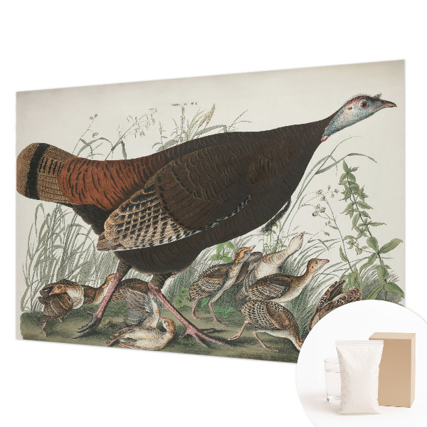 Decorative wall mural for living room with the Natural Harmony design