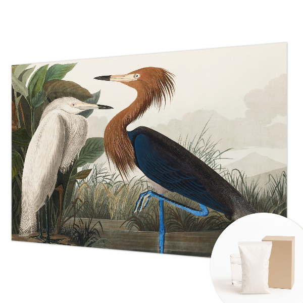 Wall mural with a design of birds among plants