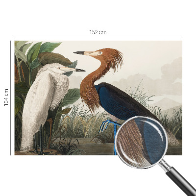 Wall mural with a design of birds among plants