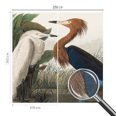 Wall mural with a design of birds among plants