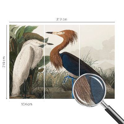 Wall mural with a design of birds among plants