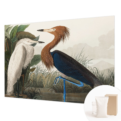 Wall mural with a design of birds among plants