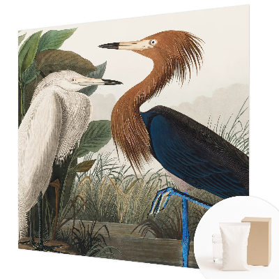 Wall mural with a design of birds among plants