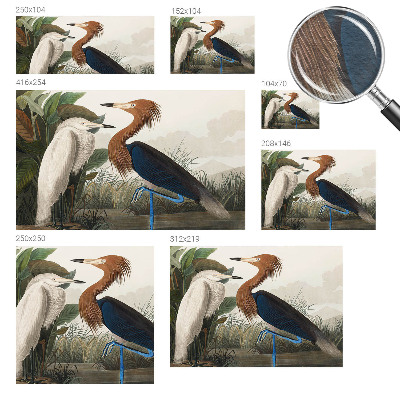 Wall mural with a design of birds among plants